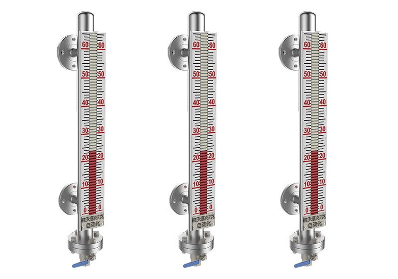 cfbone.jpg cfbone.jpg